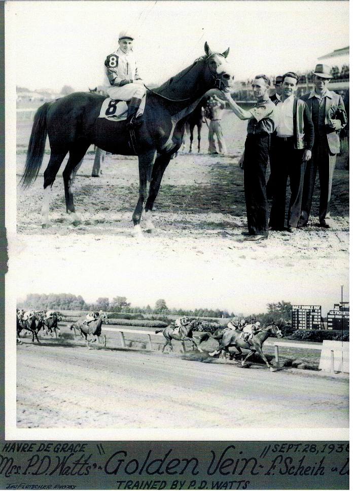 Golden Vein horse - Havre de Grace racetrack - 1937 - Watts family