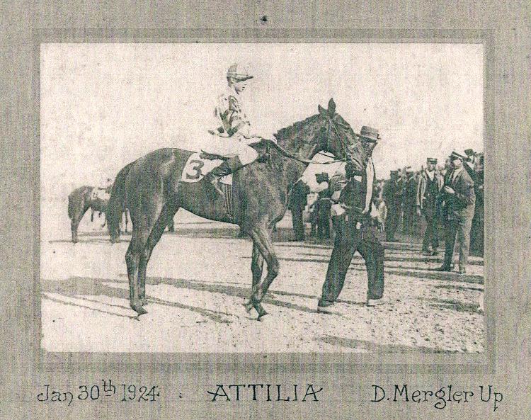 1/20/1924 - Havre de Grace jockey, Donald Mergler on "Attilia"