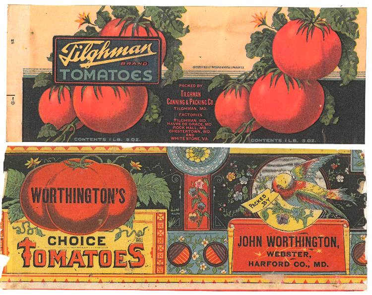 Tilghman (canned at many factories including Havre de Grace) and Worthington canning labels, Maryland