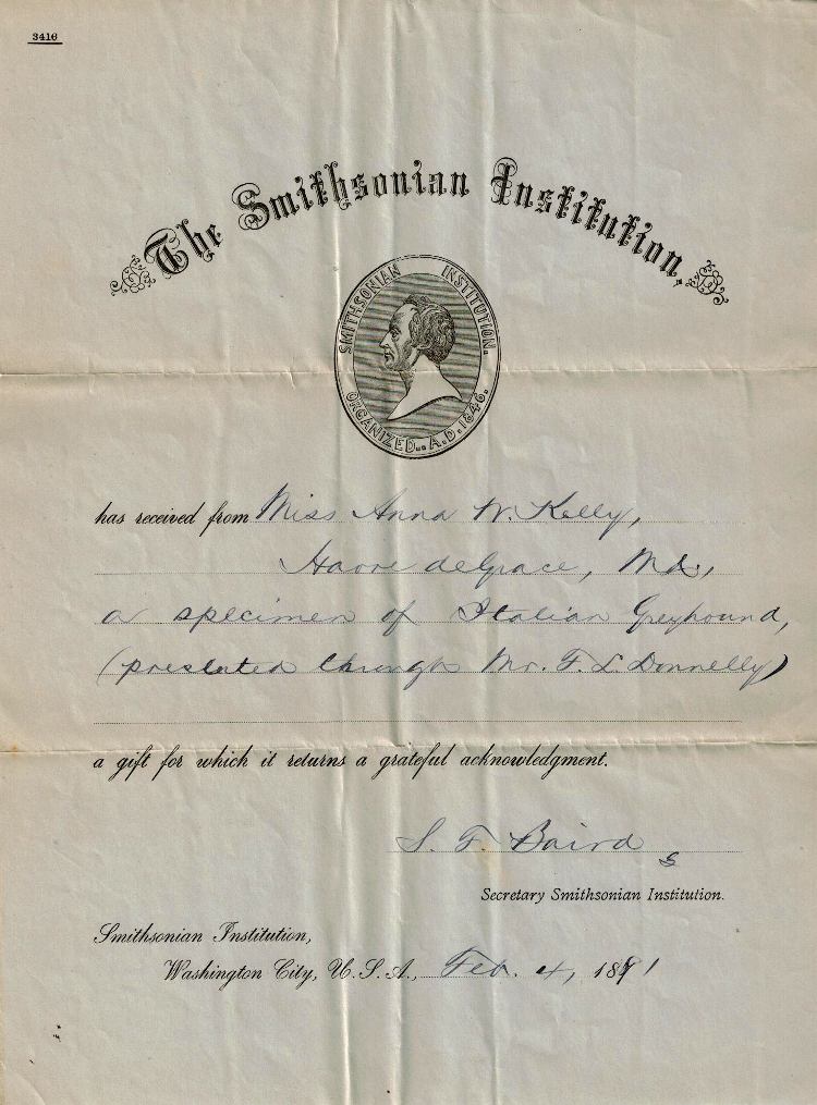 Gift of a specimen of Italian Greyhound to the Smithsonian Institution - signed by Baird - dated Feb 4, 1881