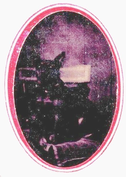 Supposed photo of Don - the Italian Greyhound - owned by Anne Kelly from 1881 - but we're not sure - photo is poor