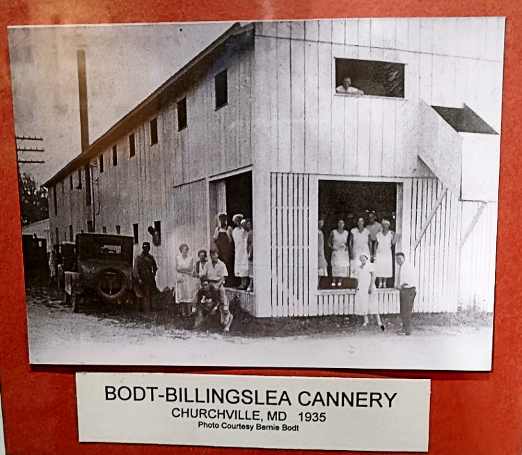 photo of Bodt-Billingslea Cannery in Churchville - 1935 - at Steppingstone Museum
