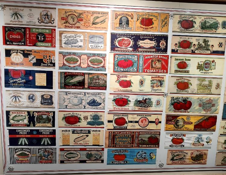 Just a small sampling of canning labels t hat can be viewed at Steppingstone Museum in Havre de Grace