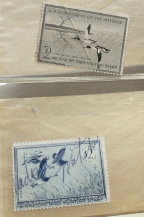Migratory Bird Hunting Stamps