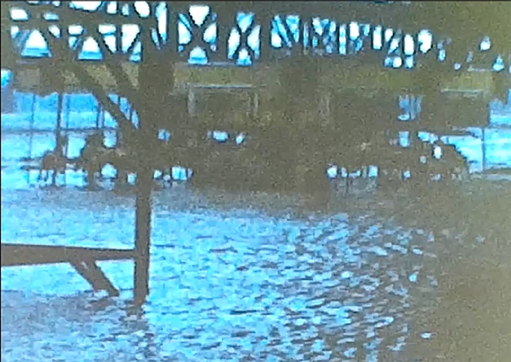 Carousel of Horses in the water -near the railroad bridge following Hurricane Hazel in 1954 - Havre de Grace, MD