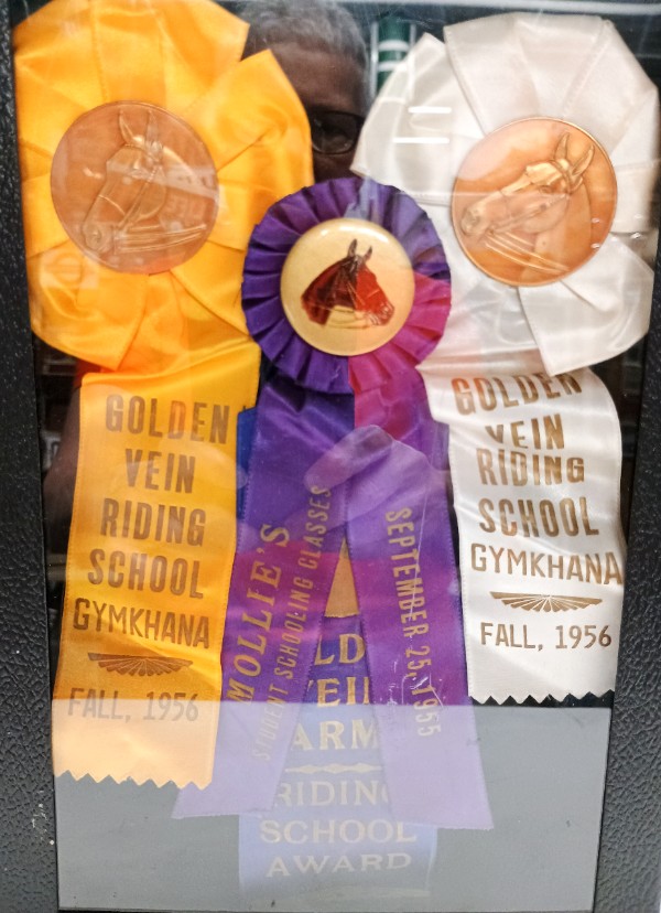 1956 ribbons from Golden Vein Riding School Gymkhana - can be seen at Havre de Grace History MuZeum at Bahoukas Antique Mall in Havre de Grace