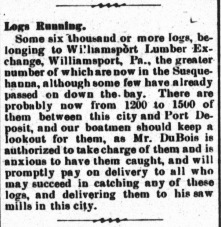 DuBois Lumber and Sawmill in Havre de Grace - logs on the Susquehanna River - article from 1900
