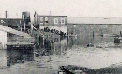 photo of Seneca Cannery at the end of St. Clair (now Pennington) in Havre de Grace with the US Hotel and a boxcar in the background.